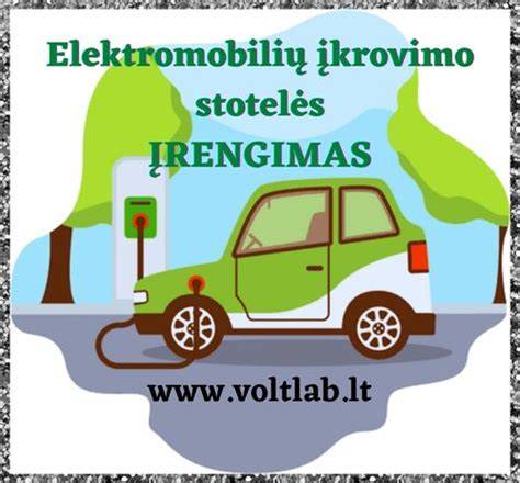 Infografika: elektromobilių įkrovimo jungčių schema ir jų regioniniai standartai