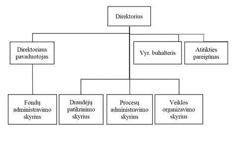 Infografika: įmonės veiklos struktūra, pagrindinės paslaugos