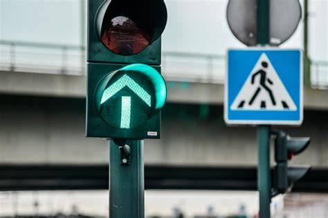 Schemos: Gardelės formavimosi procesas nuo difuzijos iki kryptinio plokštelių išsidėstymo