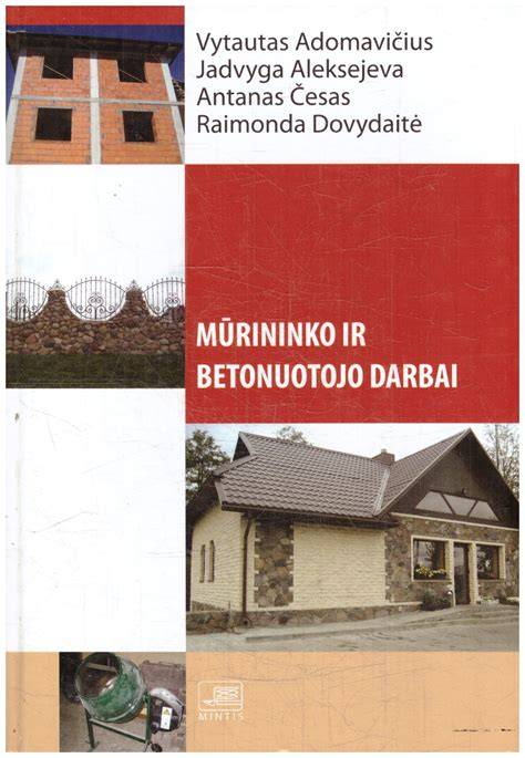 Infografika: Mūrininko ir betonuotojo karjeros kelias