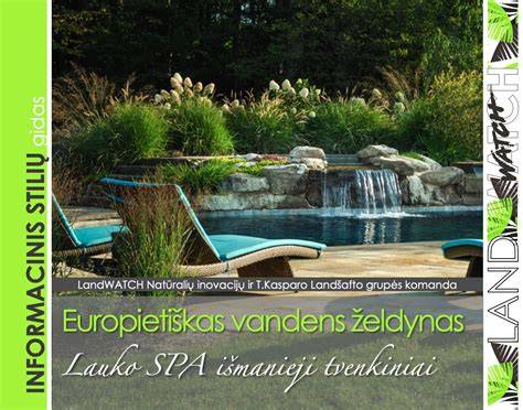 Infografika: kaip atskirti natūralų mineralinį vandenį nuo kitų vandens tipų