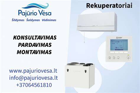 Profesionalus montavimas ir konsultacijos