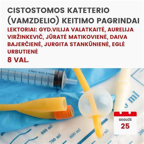 Gastrostomijos vamzdelio schema: skrandis, pilvo siena, vamzdelio kilpų fiksacijos vietos