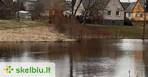 foto: nudažytas medinis namas „mahagoni“ atspalviu prie vandens