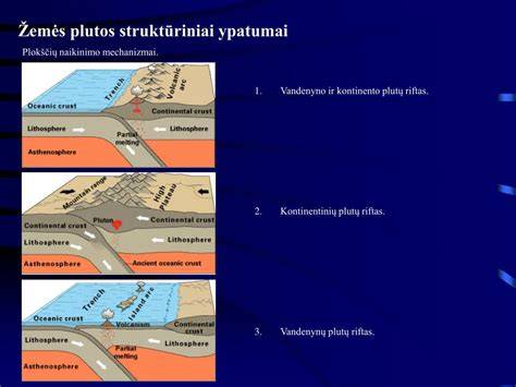 CDP plokščių fragmentas ir struktūra