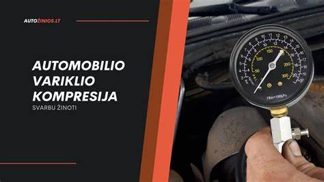 automobilio variklio siūlių sandarinimas
