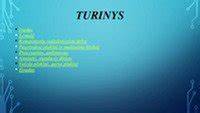 Infografika: turbinos dalys ir jų funkcijos