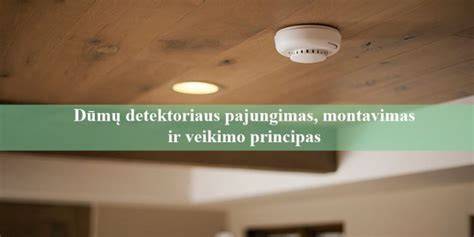 Infografika: Dūmų užuolaidų veikimo principas