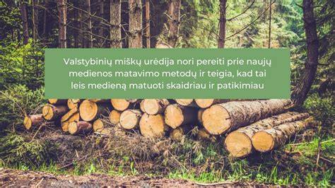 Infografika: Šilalės medienos perdirbimo įmonės veiklos sritis, galimos produkcijos rūšys