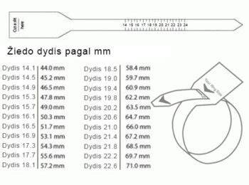 Infografika: betoninių žiedų dydžių palyginimas ir tipų aprašymas (stabilesniam projektui)