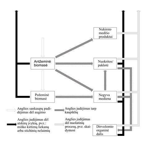 Schema: Akmens gaminių gamybos ir montavimo procesas