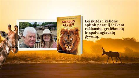 Infografika: Senų asfaltų perdirbimo grandinė ir panaudojimo į naują mišini į traukimo etapai