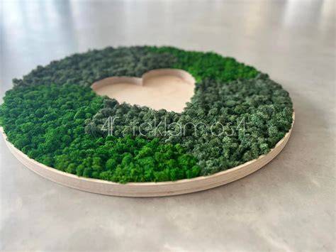 3D sienų iliustracija: gyvas peizažas