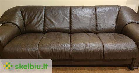 Odinė sofa svetainėje prie lango