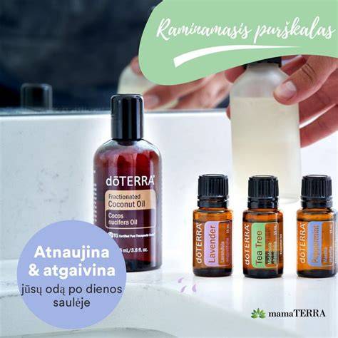 Kedrų savybės: šiluma, atsparumas ir eteriniai aliejai