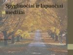 Spygliuočiai ir lapuočiai: skirtumai ir taikymas