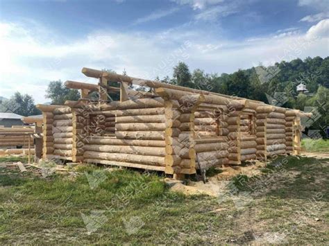 Rąstinių namų statyba iš pušies medienos