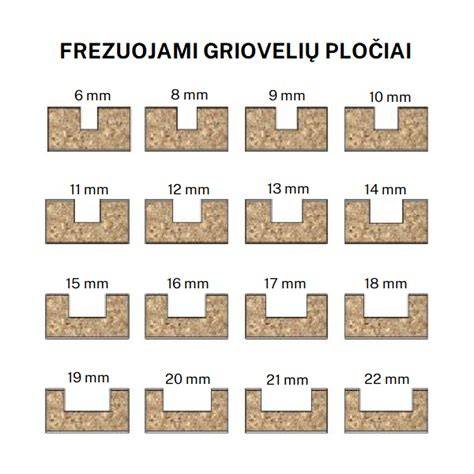 Griovelio jungtis grafiškai iliustruota sistema