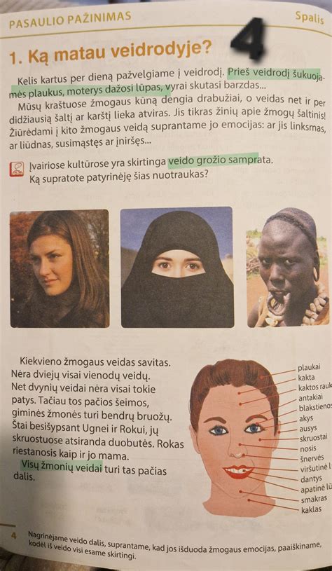 Veidrodžio klijavimo pavyzdys