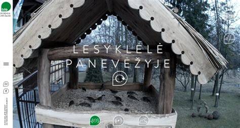 Tiesioginis vaizdas iš akademijos renginio