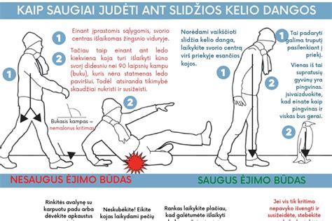 Infografika: kelio dangos sluoksnių konstrukcija