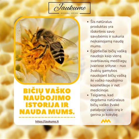 Infografika apie vaško naudojimo procesą: paruošimas - paskirstymas - džiūvimas - poliravimas