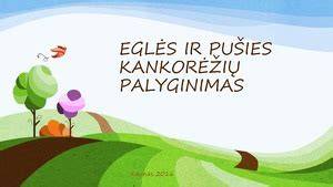 Pušies ir eglės tankio palyginimas infografiko pavaizdavimas: tankiai ~490-520 kg/m3, eglė ~430-470 kg/m3