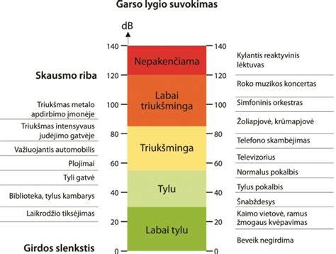 Garso izoliacijos principai infografika: triukšmo užterštumo poveikis, garso sugertis, reverberacija