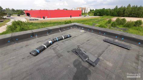 EPDM danga ir mandžetų užpildymo nuotrauka