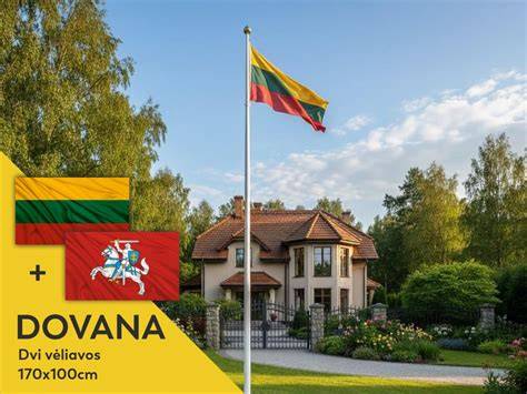 Infografika: lyginamoji vėliavų stiebų medžiagų patvarumo skalė, 2D atvaizdas
