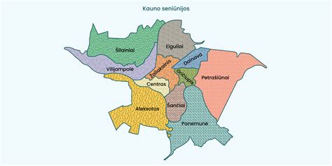 Infografika apie įmonės veiklos kryptis, Kauno regionas ir didmeninė prekyba statybinėmis medžiagomis