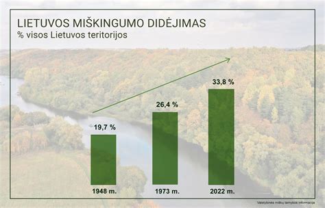 Infografika apie Lietuvos miškų valdymą ir medienos tiekimą regionuose