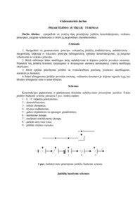 Diagram: inkarų tipų veikimo principai