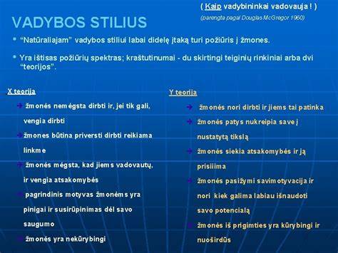parodų/infografika1: lauko dekoravimo pagrindai ir stiliai