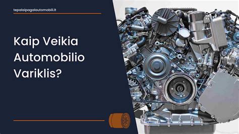 Infografika: kaip atrodo variklio diagnostikos procesas