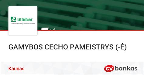 Gamybos cecho schematinė išdėstymo nuotrauka