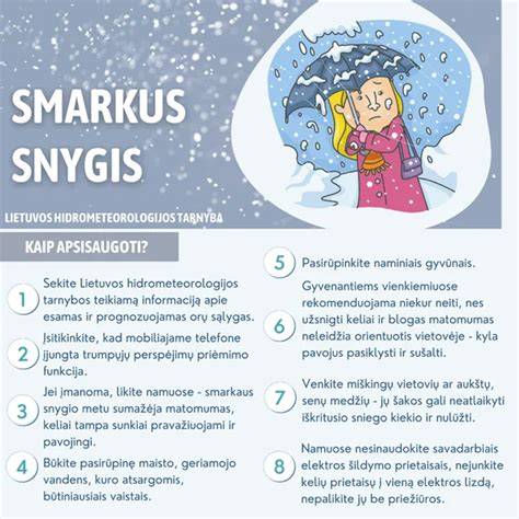 Infografika: HIFU principas ir saugumo parametrai