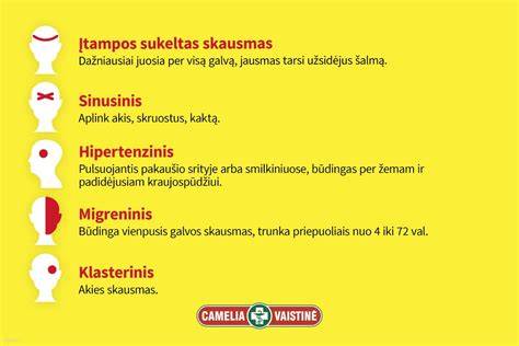 Infografika: kaip atpažinti skirtingus vaikų galvos skausmo tipus ir elgesio signalus