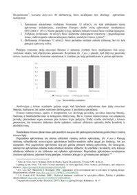 Schemos fragmentas: matmenų pasirinkimo įtaka funkcionalumui