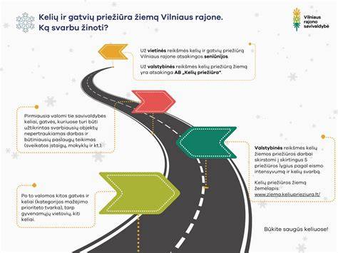 Infografika: kaip priedai veikia žiemos metu betoną