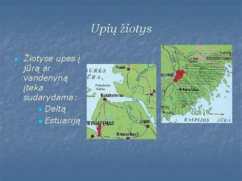 Upės žiotys ir plokščios lygumos schematiškai