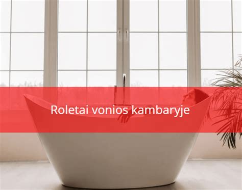 Maskavimo sprendimai: spintelės, dėžės, plokštumos ir roletai vonios kambaryje