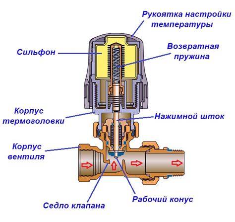 Infografika: Tracheostomija ir kalbos vožtuvo veikimo principas