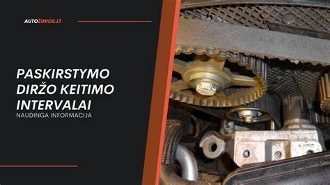 Infografika: kuro sistemos komponentų išdėstymas ir nuoseklumas