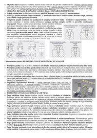 Čiaupo ir srieginių skylių mechanizmas