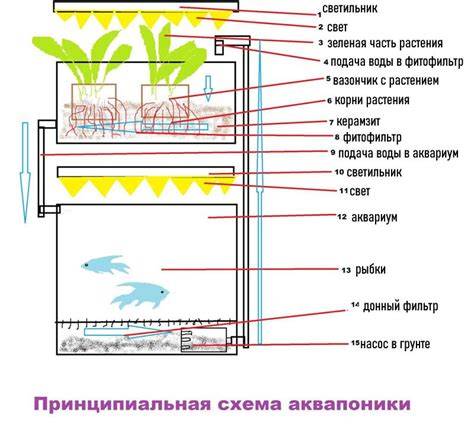 Žingsnis po žingsnio srieginių skylių gręžimo schema