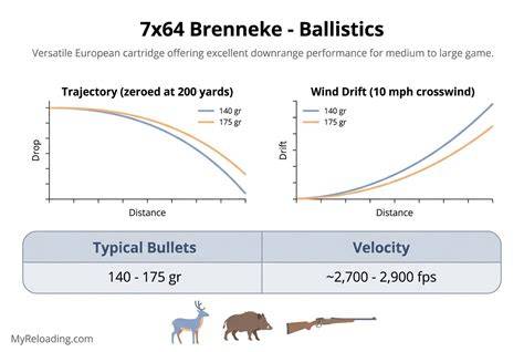 Infografika: 7 × 64 Brenneke kilmė ir balistika