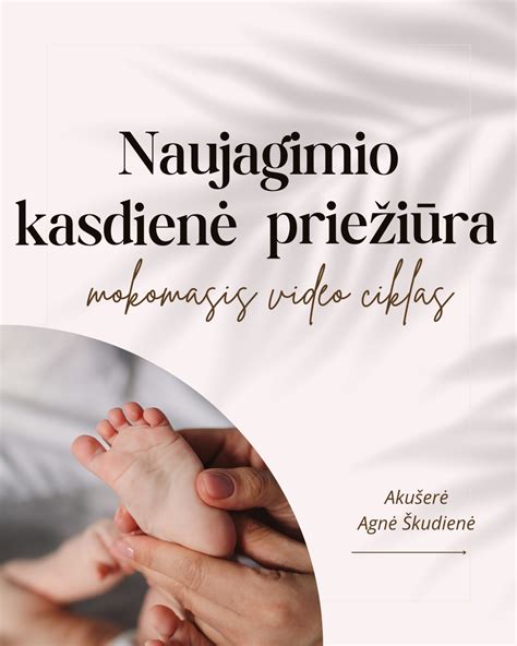 Infografika: grindų priežiūros grafikas (kasdienė, periodinė priežiūra, šlifavimas)