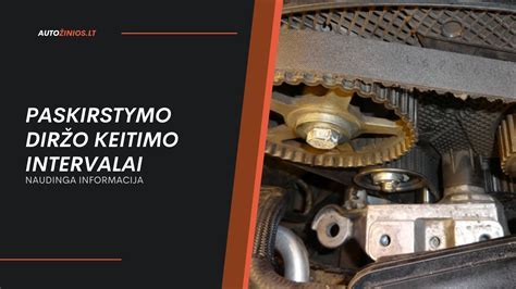 Infografika: kuro bako pažeidimų priežastys ir klijavimo žingsniai
