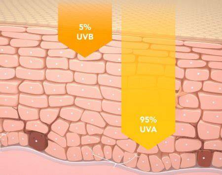 Pritaikytos alyvavimo apsaugos schema (UV filtrai)